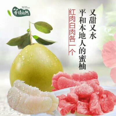 湖北宜昌秭歸縣柚子 沙田柚批發(fā)市場探析，0.60元/斤的價格優(yōu)勢與品質保障